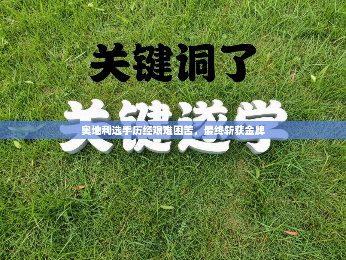 奥地利选手历经艰难困苦，最终斩获金牌  第2张