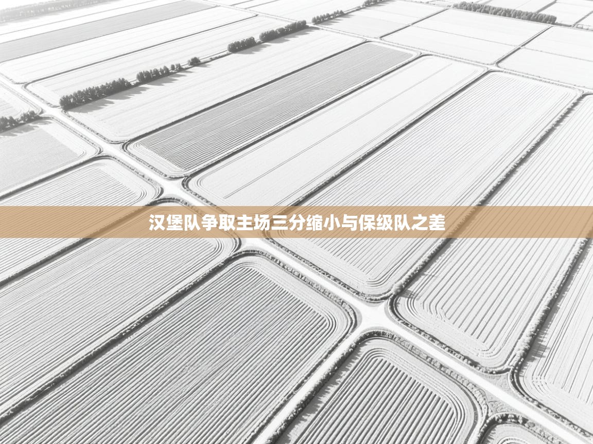 汉堡队争取主场三分缩小与保级队之差