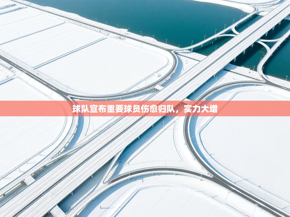 球队宣布重要球员伤愈归队,实力大增