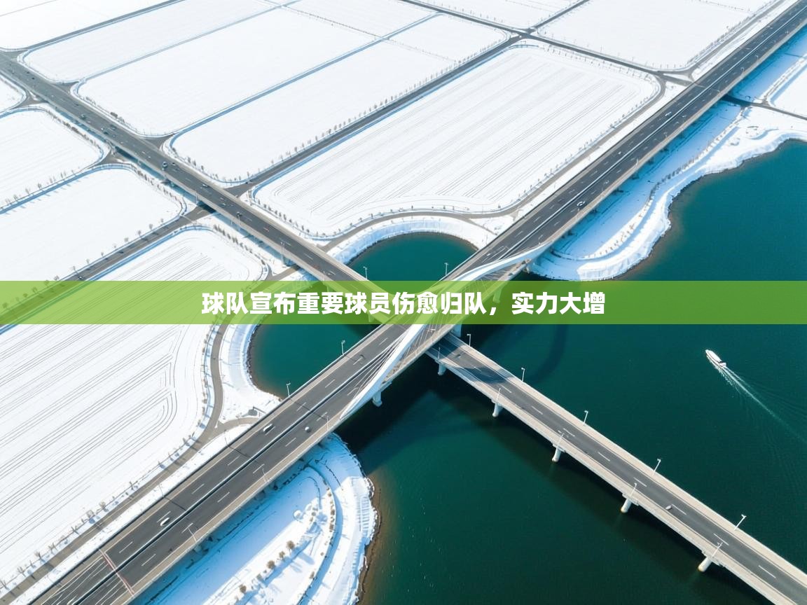 球队宣布重要球员伤愈归队,实力大增