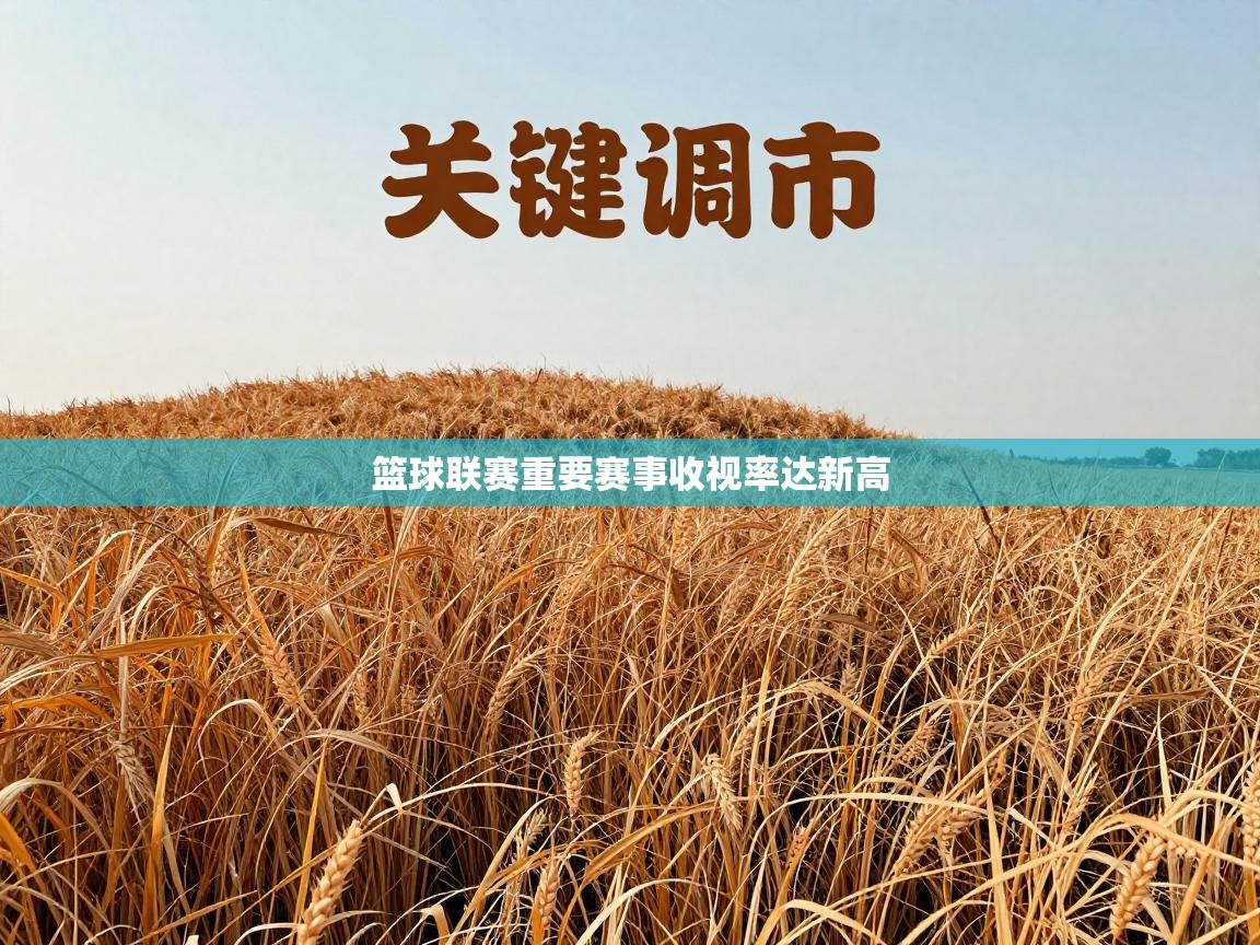 篮球联赛重要赛事收视率达新高