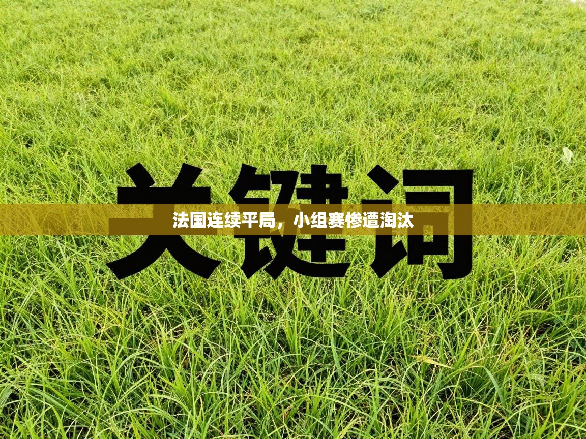 法国连续平局，小组赛惨遭淘汰