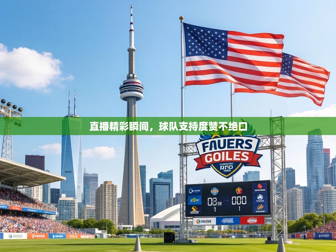 直播精彩瞬间,球队支持度赞不绝口